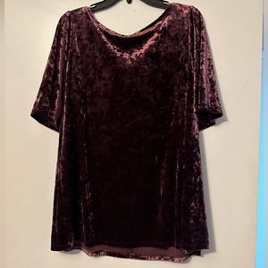 NWOT Crushed Velvet Top-Size 18/20